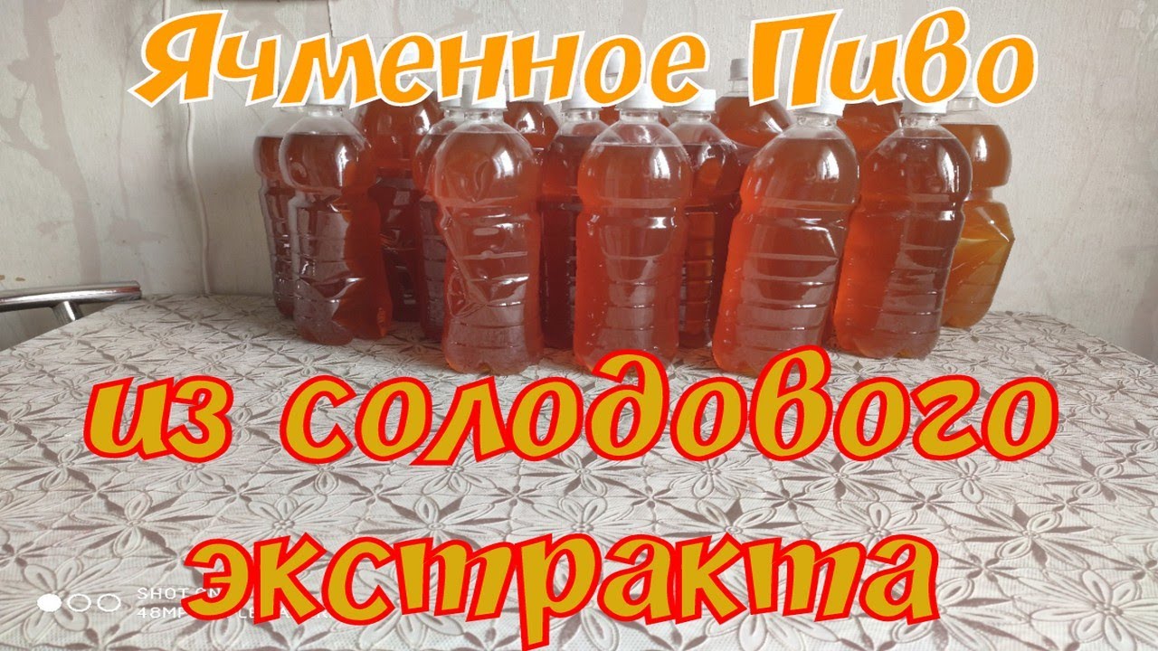 ПИВО ЯЧМЕННОЕ ДОМАШНЕЕ ИЗ СОЛОДОВОГО КОНЦЕНТРАТА ЗА 15 МИНУТ