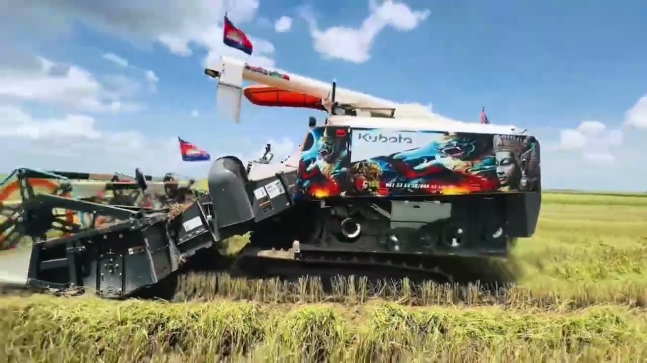 The activities of driving agricultural machinery by experts are actively harvesting rice.