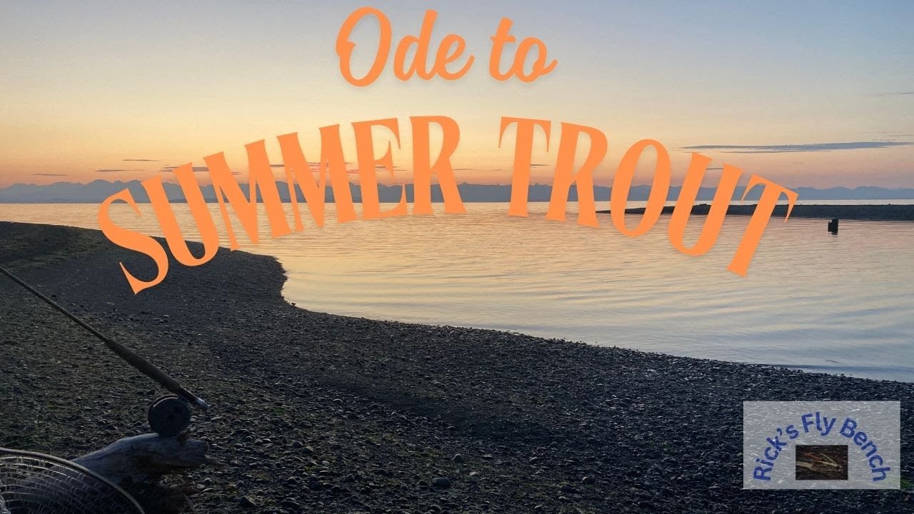 Fly fishing sea run cutthroat trout in the summer
