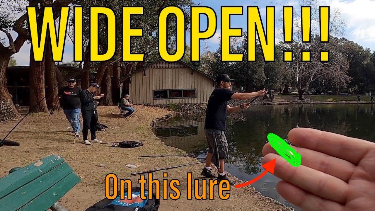 WIDE OPEN Trout Fishing at a Local Park in Orange County