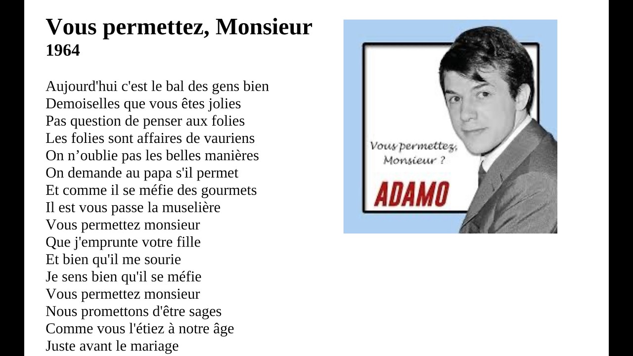 vous permettez, monsieur
