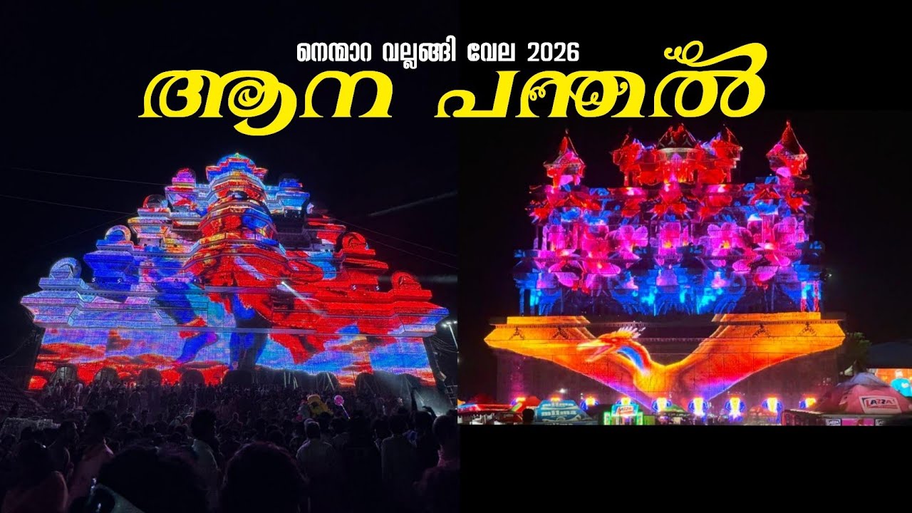 Nenmara Vallangi Vela Aana Panthal 2026 | Nenmara Vela 2026 | Nenmara Vallangi Vela 2026 | Elephants