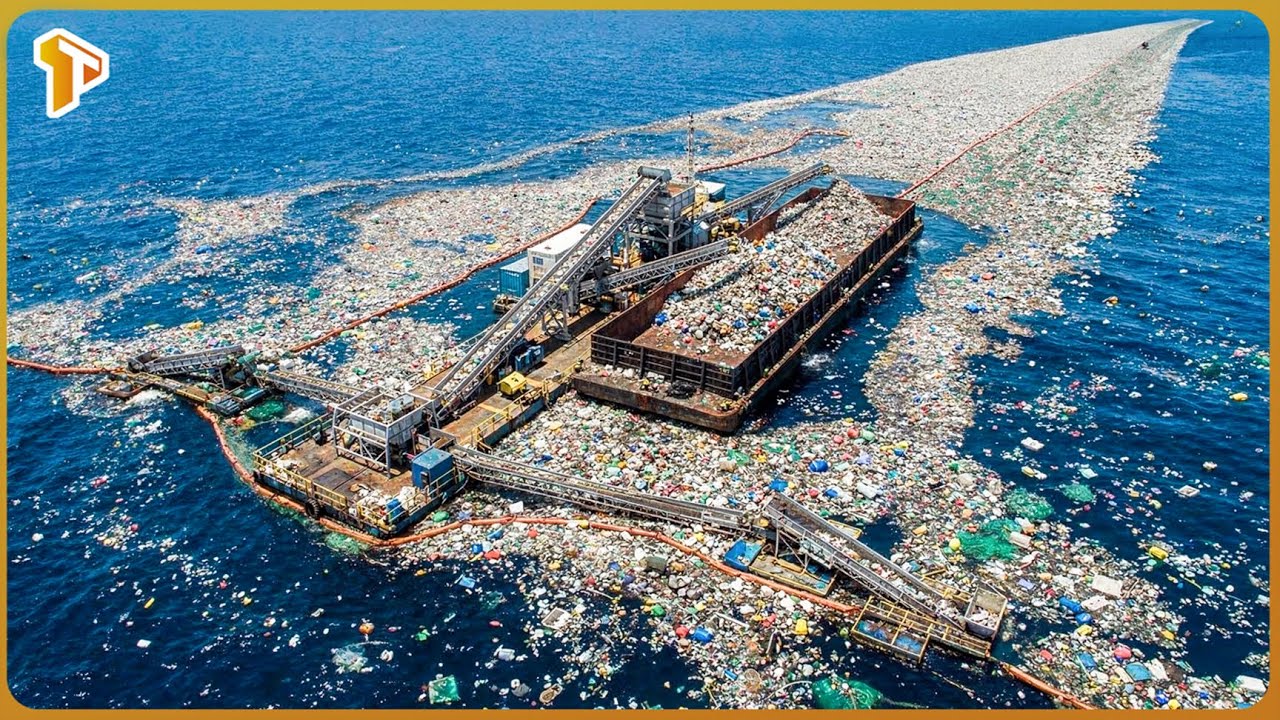 The U S  Removed 45 Million Tons of Ocean Plastic — What Happened Next Is Incredible