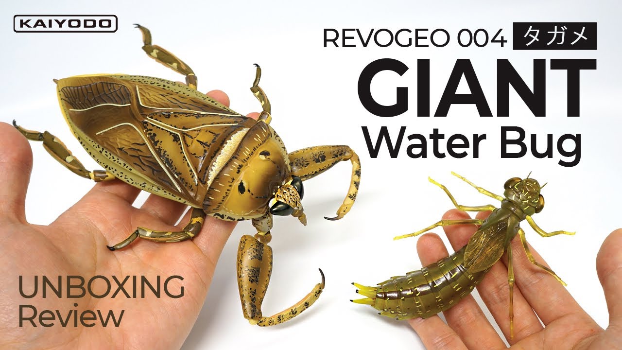Giant Water Bug Action Figure (REVOGEO)
