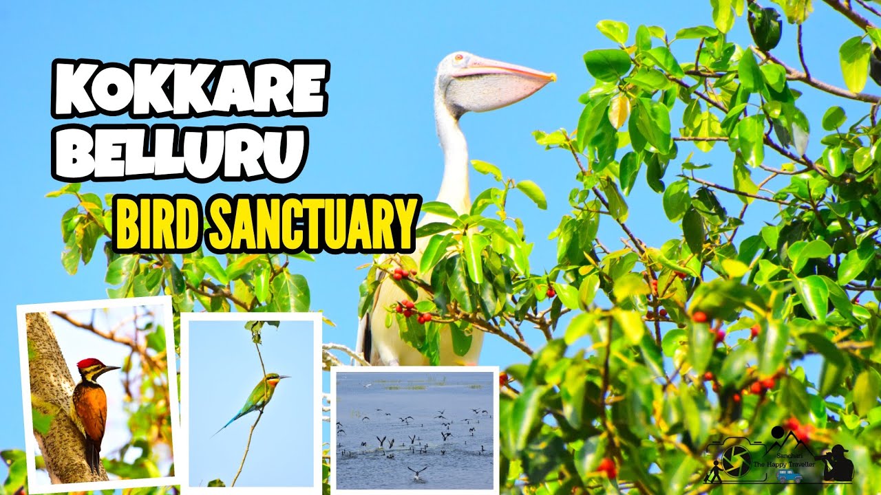 Kokkare Belluru Bird Sanctuary/ Kokkare Bellaru