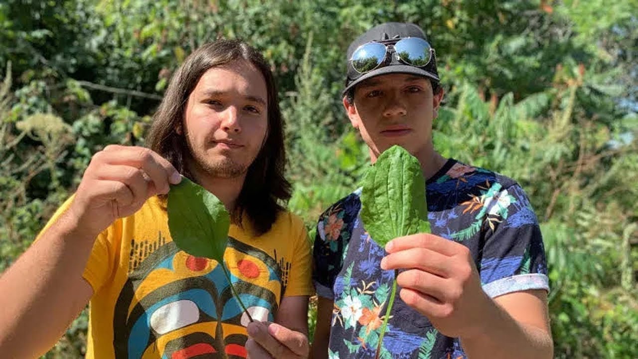 Cousins use Kanien'kéha to share Mohawk culture