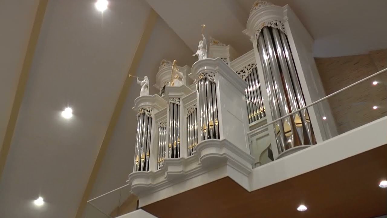 Lourens Schaak - Fantasie over ''Alle roem is uitgesloten'' J. Propitius