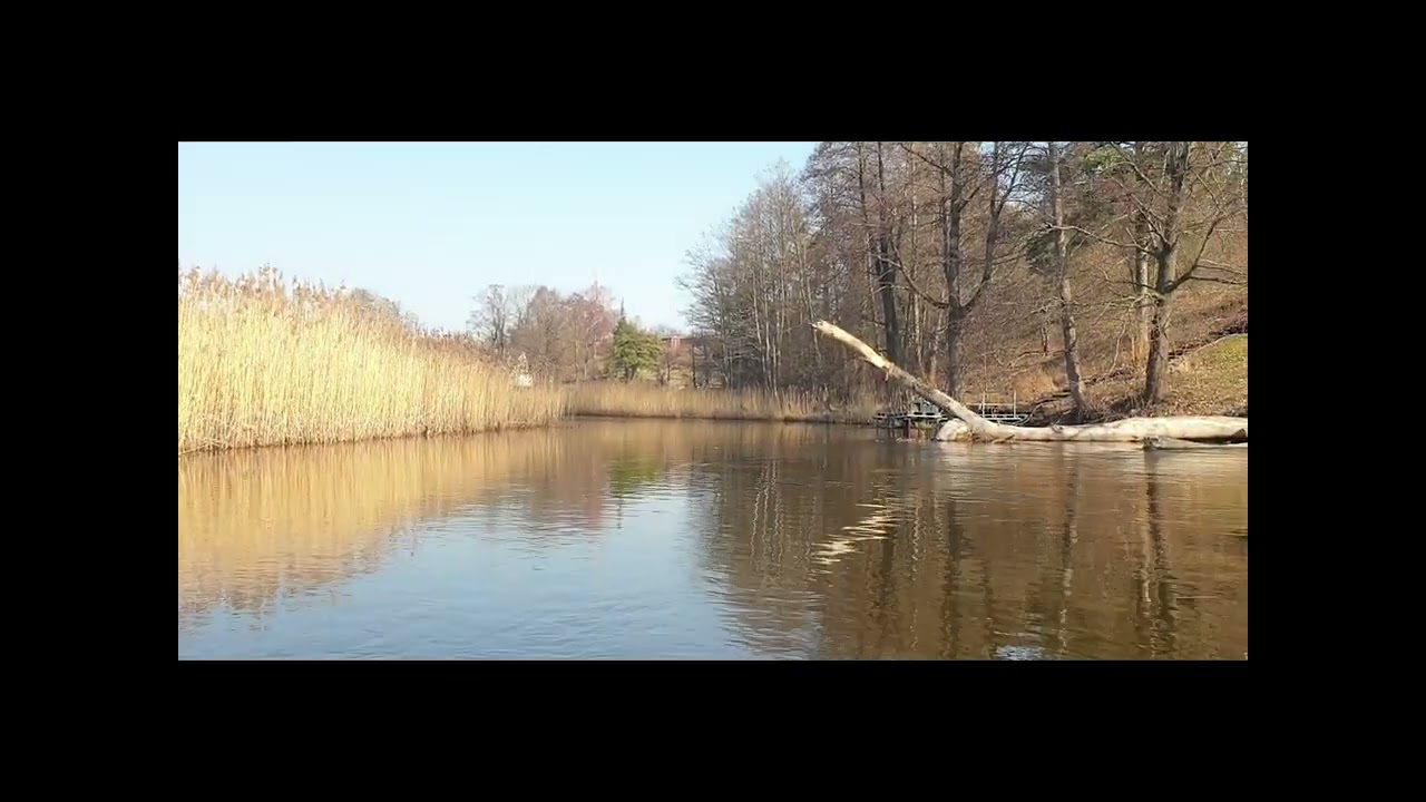 ŽEIMENA. PER ŠVENČIONĖLIUS prieš srovę. 1d.