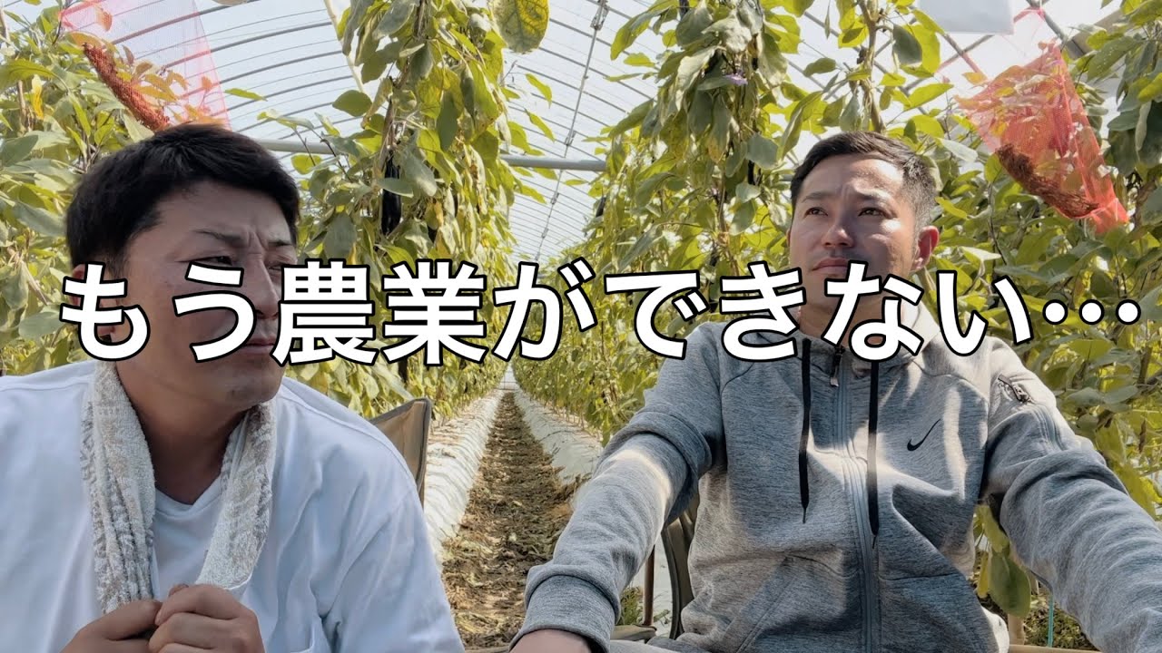 【拡散希望】熊本の現状を知ってください
