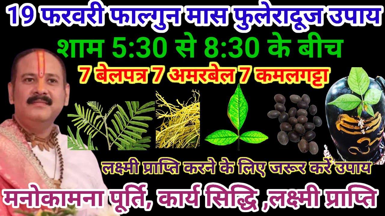 19 फरवरी फुलेरादूज लक्ष्मी प्राप्ति 5 विशेष उपाय, 7सामीपत्र 7अमरबेल जरूर करें#pardeepmishraupay#shiv