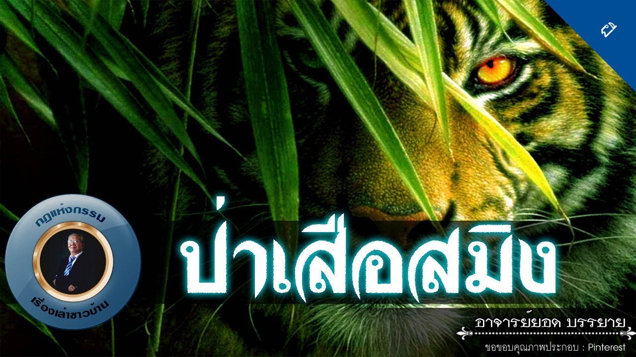 อาจารย์ยอด : ป่าเสือสมิง [ผี] new