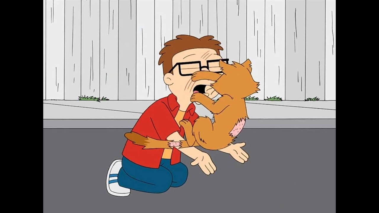 American Dad - Steve Yelling