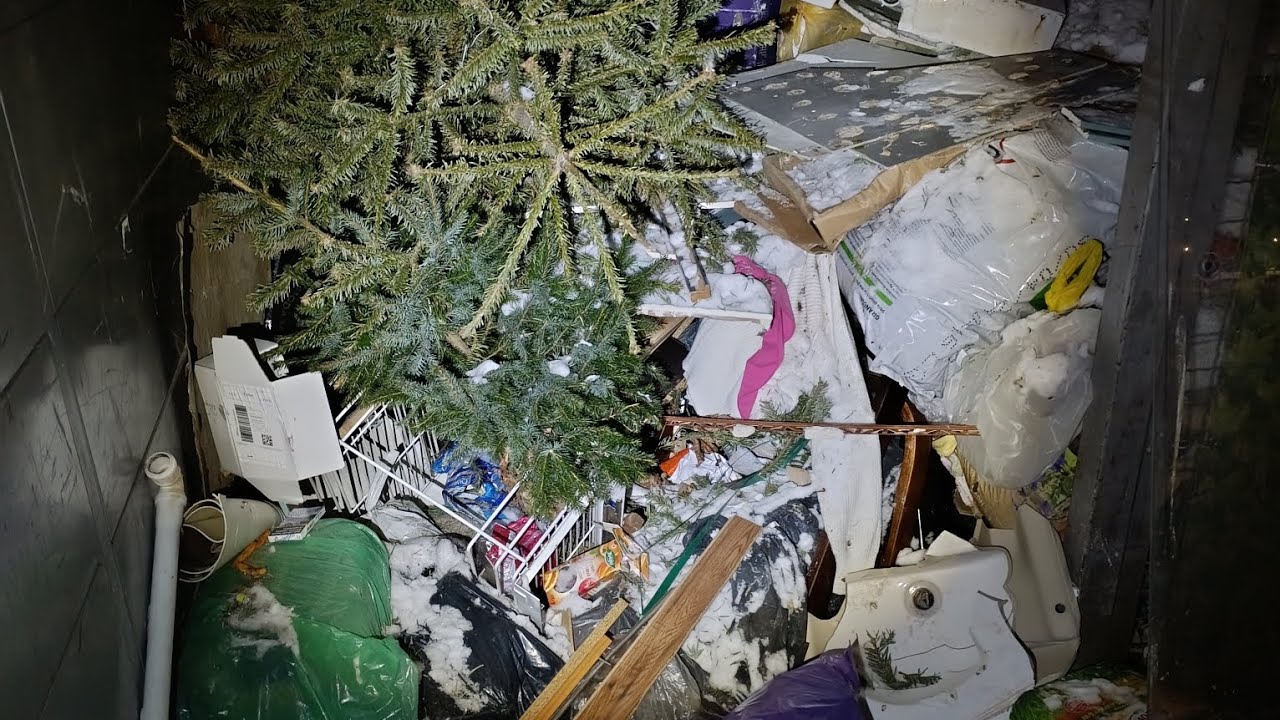 Eko w pigułce... Segregacja poziom Expert 🌲🚮