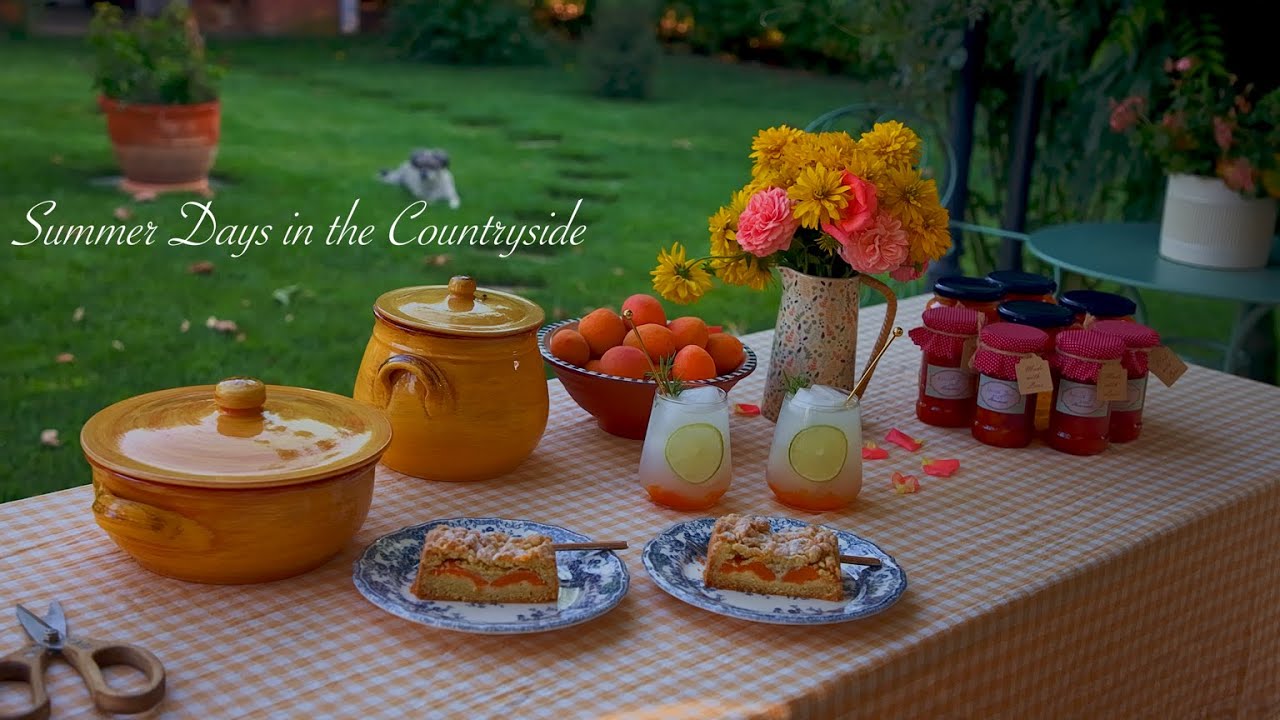 Life in the countryside | Making Apricot Compot 🫙 Apricot Jam | Summer Drink and Delicious Tart