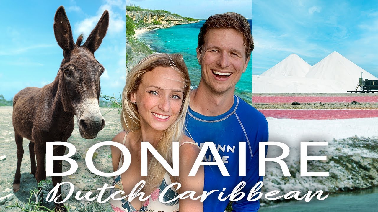 BONAIRE Travel Guide! 🇧🇶 (30 BEST things to do, cost, & more - our vlog)