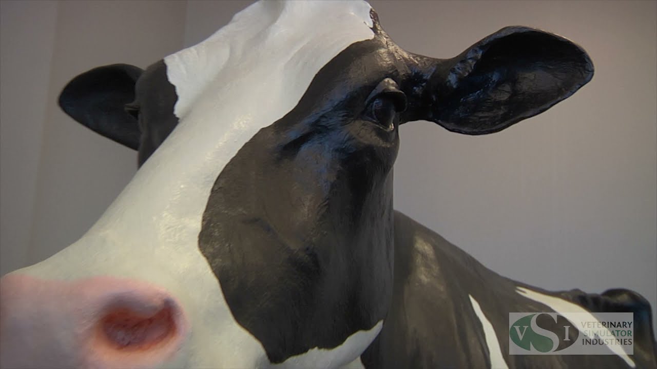 VSI Holstein Dystocia Simulator with matching calf