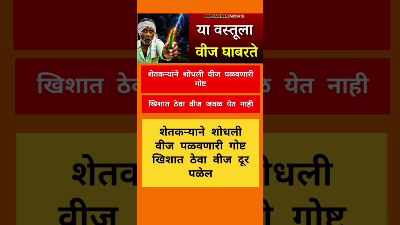 या वस्तूला #tv9marathi #trending #trendingshorts #sharadpawar #reels #rohitpawar #bjp #shorts #ncp