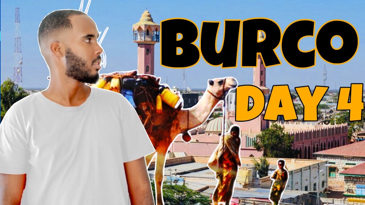Day 4 | Burco Gobolka Ragga Mise Gobolka Xoolaha Nool🐪