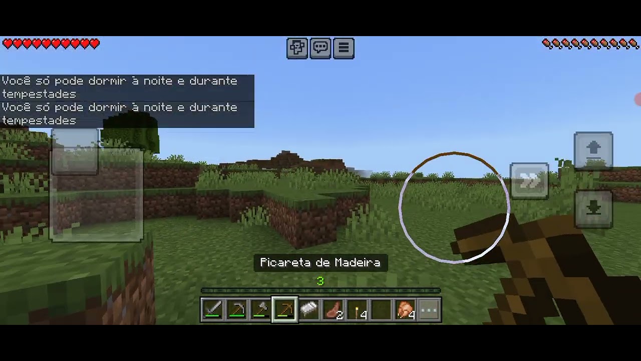 Hoje eu joguei Minecraft 
