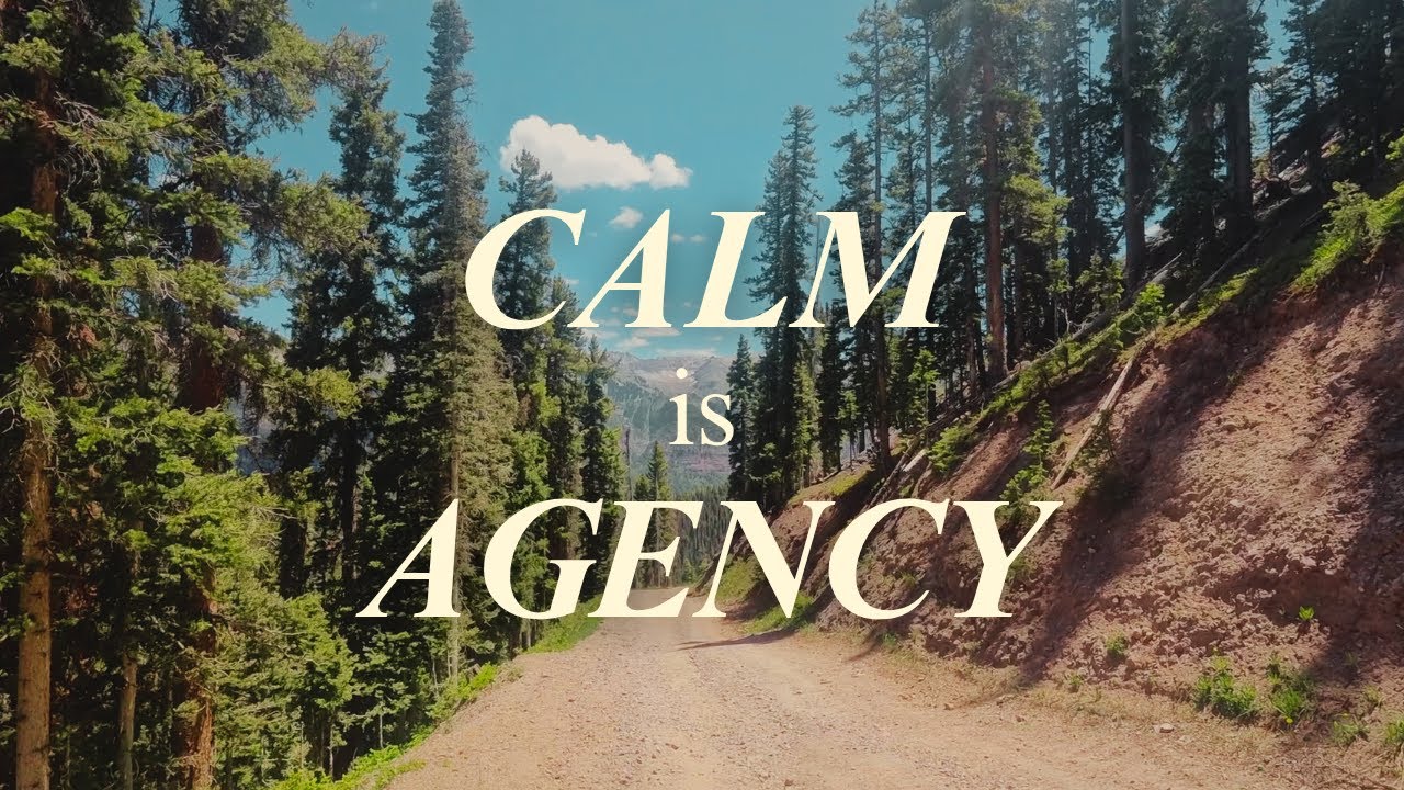 Feeling Calm In A Chaotic World