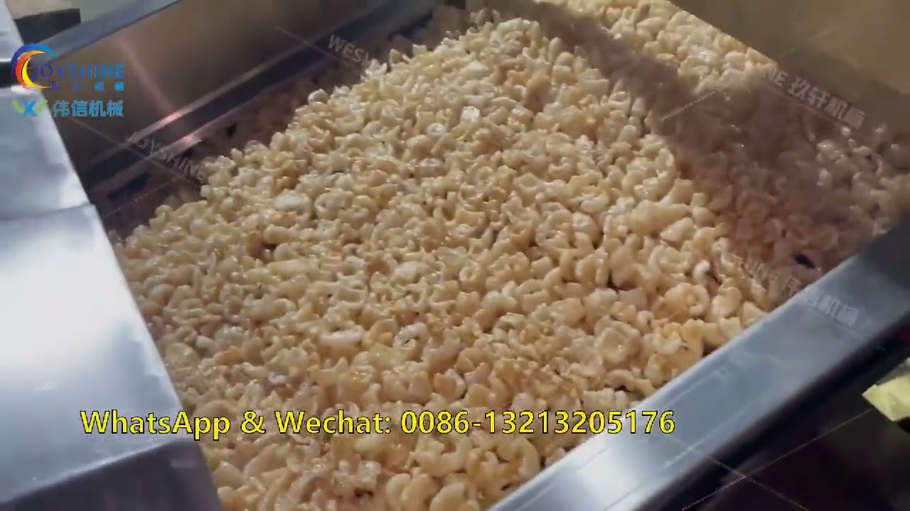 Fried Pork Rinds Production Line / Línea de producción de chicharrones fritos