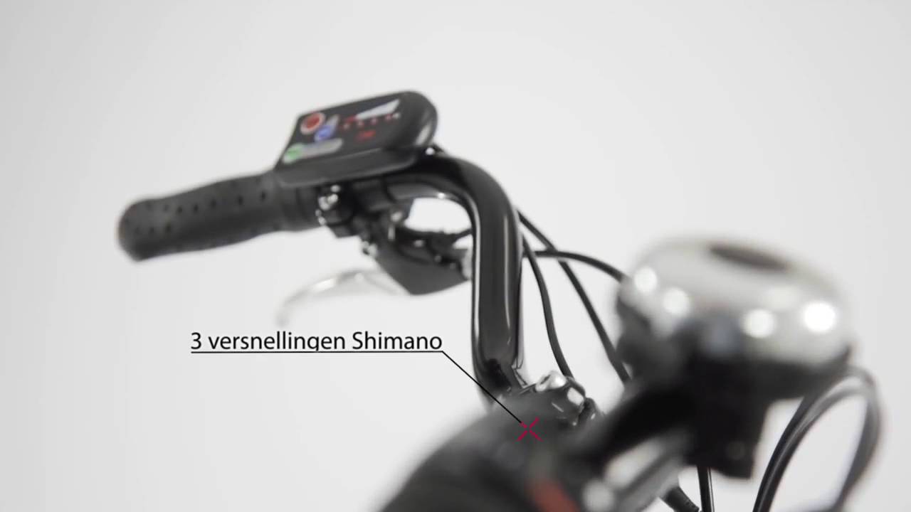 Popal Sway Elektrische Damesfiets