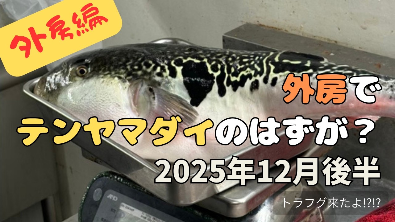 外房で テンヤマダイ のハズが!? -外房飯岡編-【2025年12月後半】