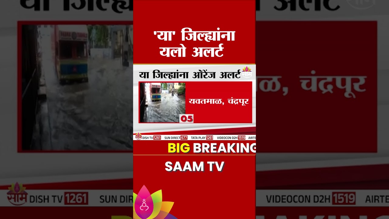 संपूर्ण महाराष्ट्र मान्सूननं व्यापला, 'या' जिल्ह्यांना यलो अलर्ट | Maharashtra Rain Update
