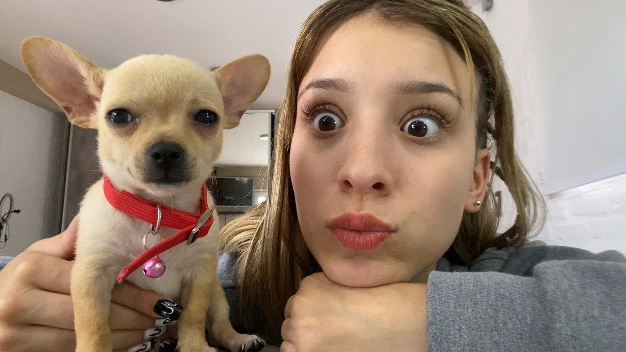TENGO UN PERRITO NUEVO