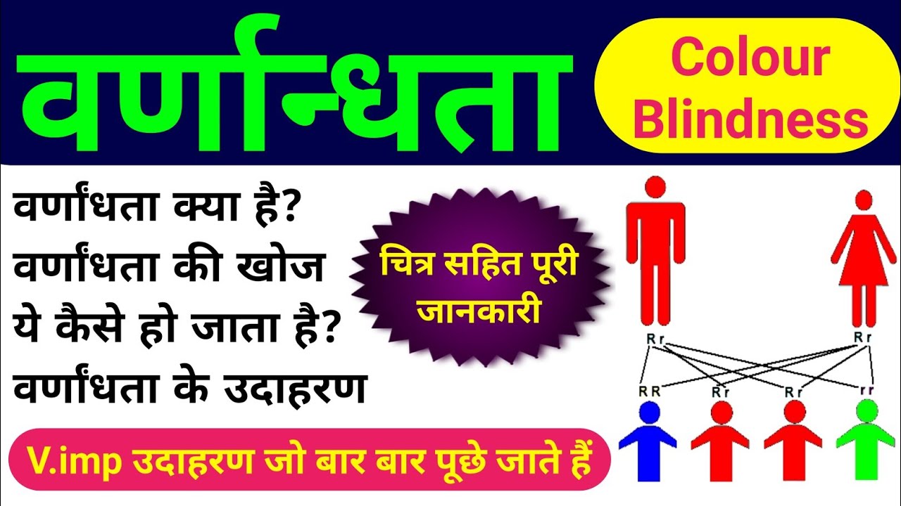 वर्णांधता | colour blindness class 12 | varnandhta | sex linked inheritance | ling sahlagn rog 12th