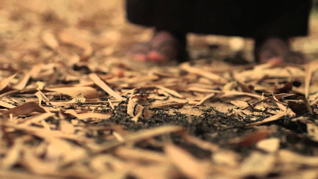 Trailer, Kwaku Ananse