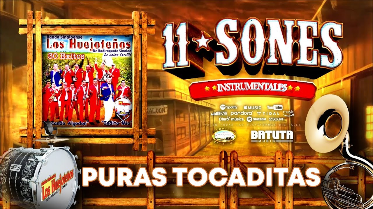Once Sones Instrumentales Con Banda Los Huejoteños de Badiraguato sin. (Puras Tocaditas)