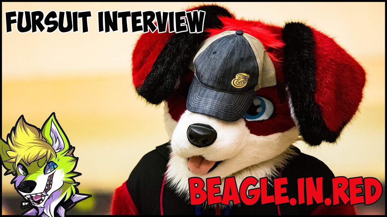 Beagle.in.red Fursuit Interview