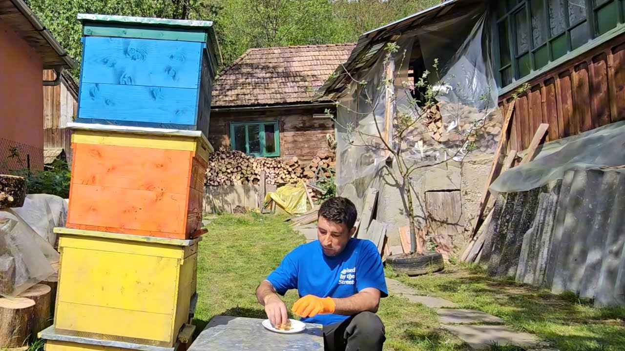 Горная жизньВесеннее пчеловодство и приготовление дикого кролика на огне