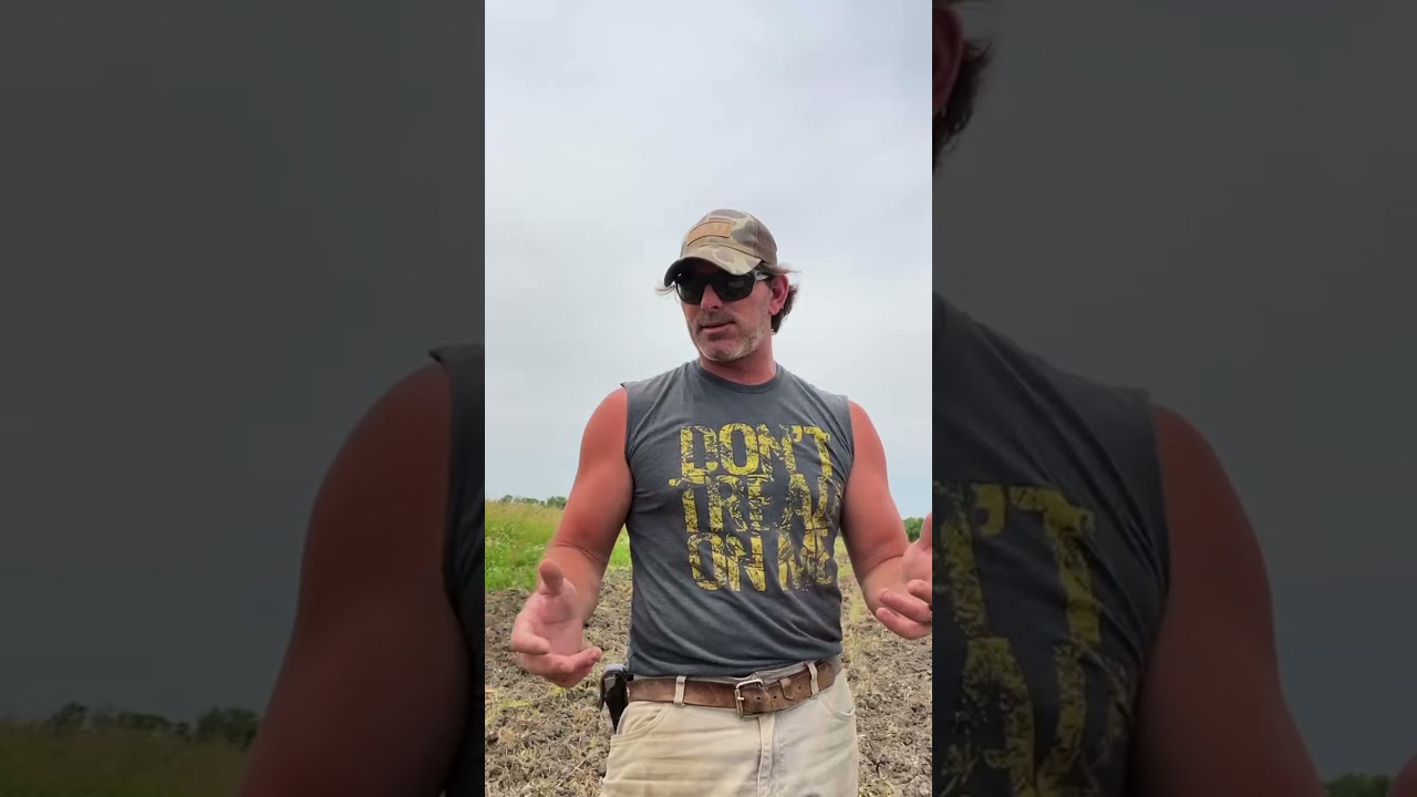 Managing Land for Waterfowl: Millet 101