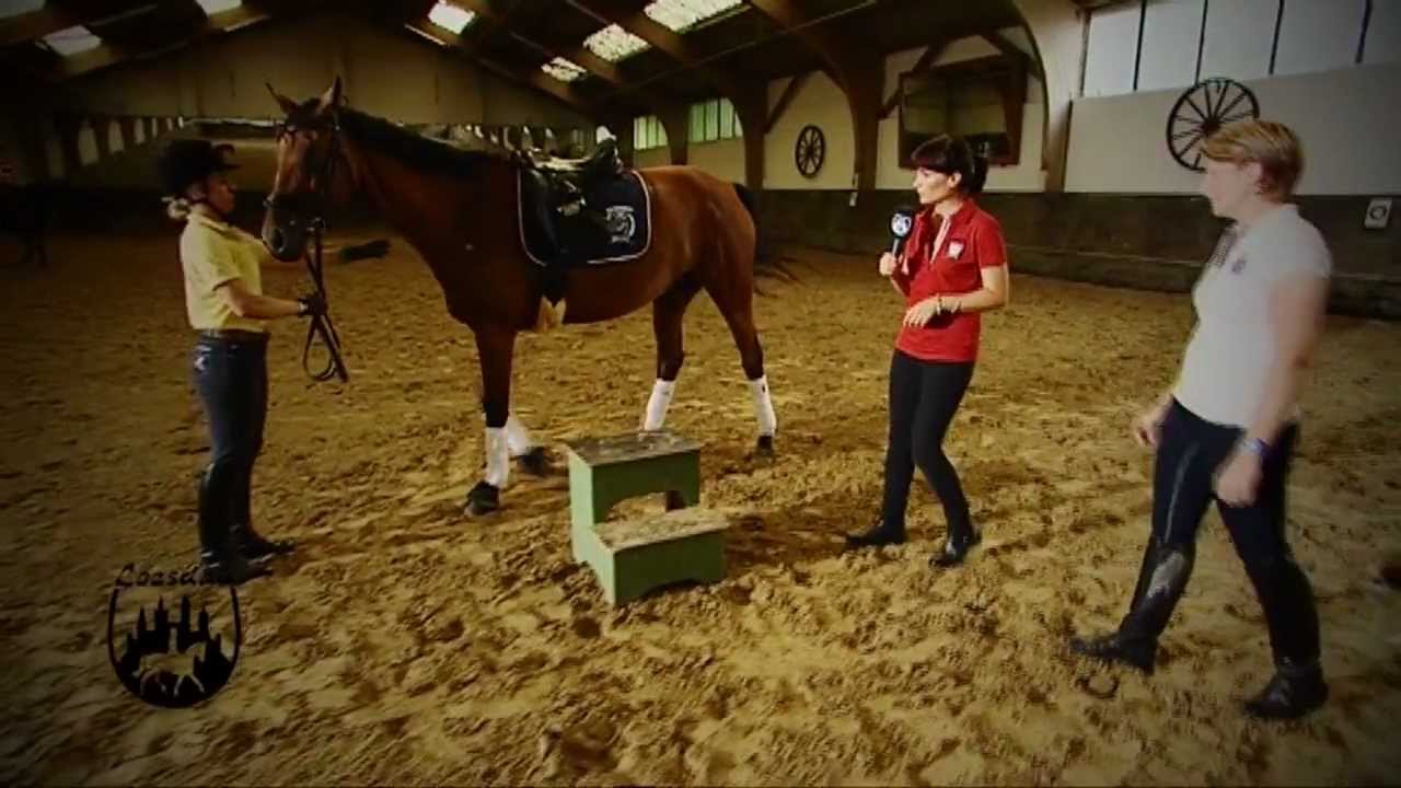 Loesdau Lessons: Basics mit Kati: Die Reitbahnregeln