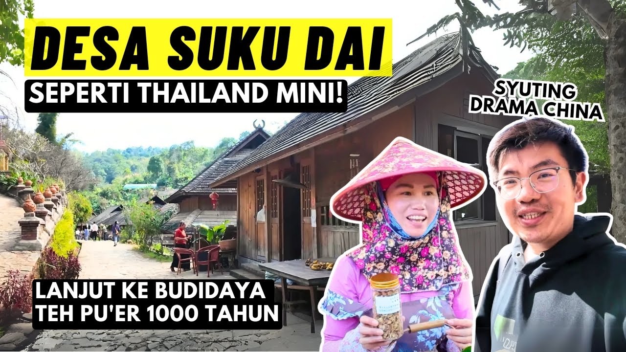 DESA SUKU DAI 🇨🇳 Di Pedalaman YUNNAN CHINA! Ada Pohon TEH RAKSASA Ratusan Tahun?