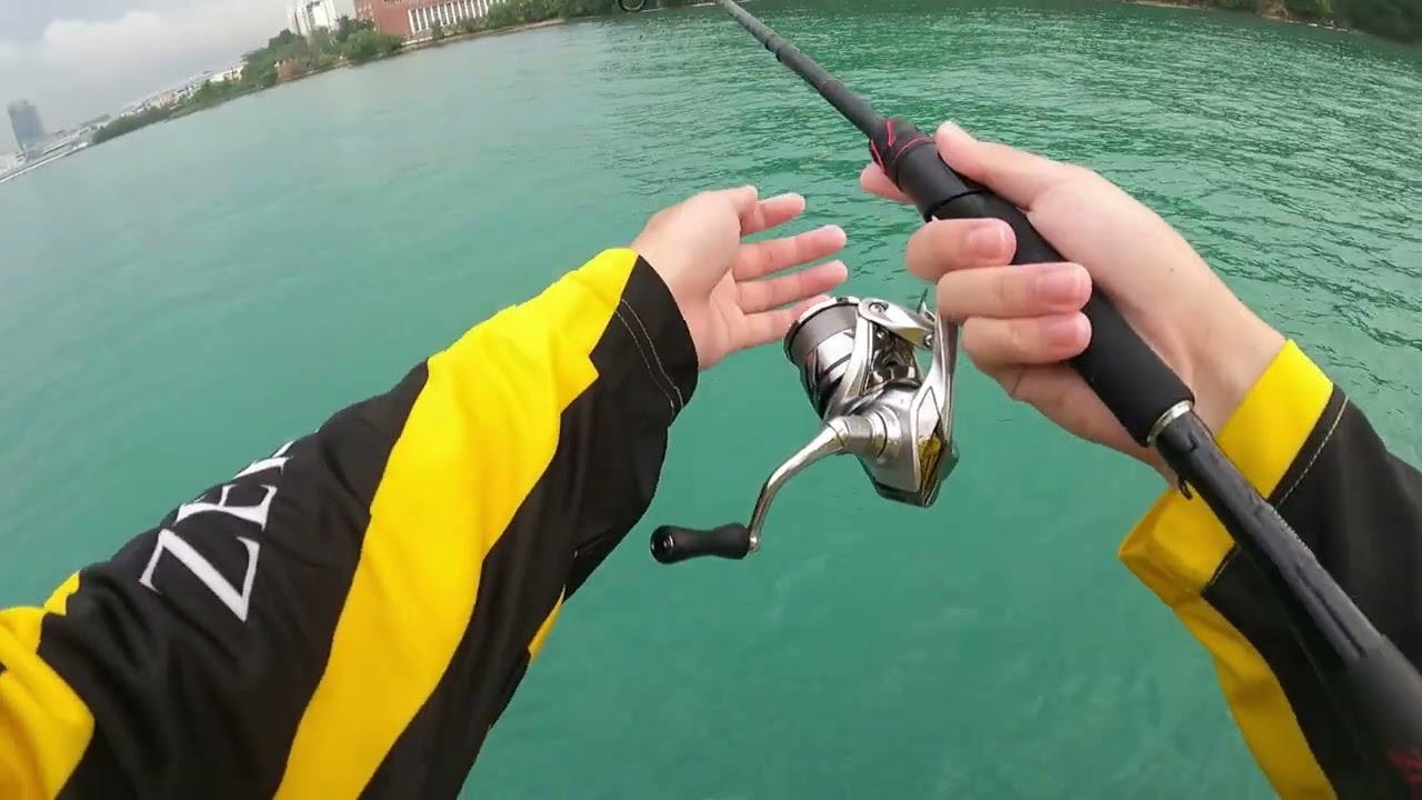 [Fishing at Labrador Park, Singapore] Selar season in a nutshell