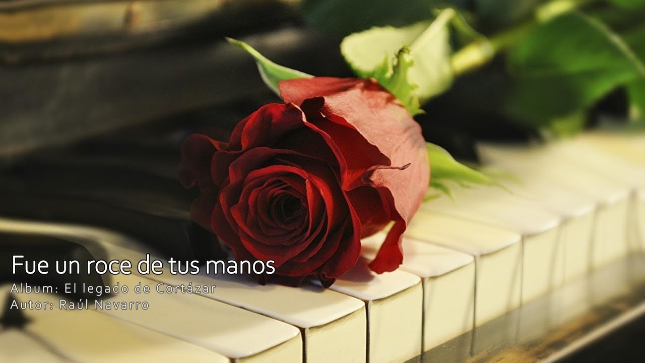 FUE UN ROCE DE TUS MANOS-RAUL NAVARRO