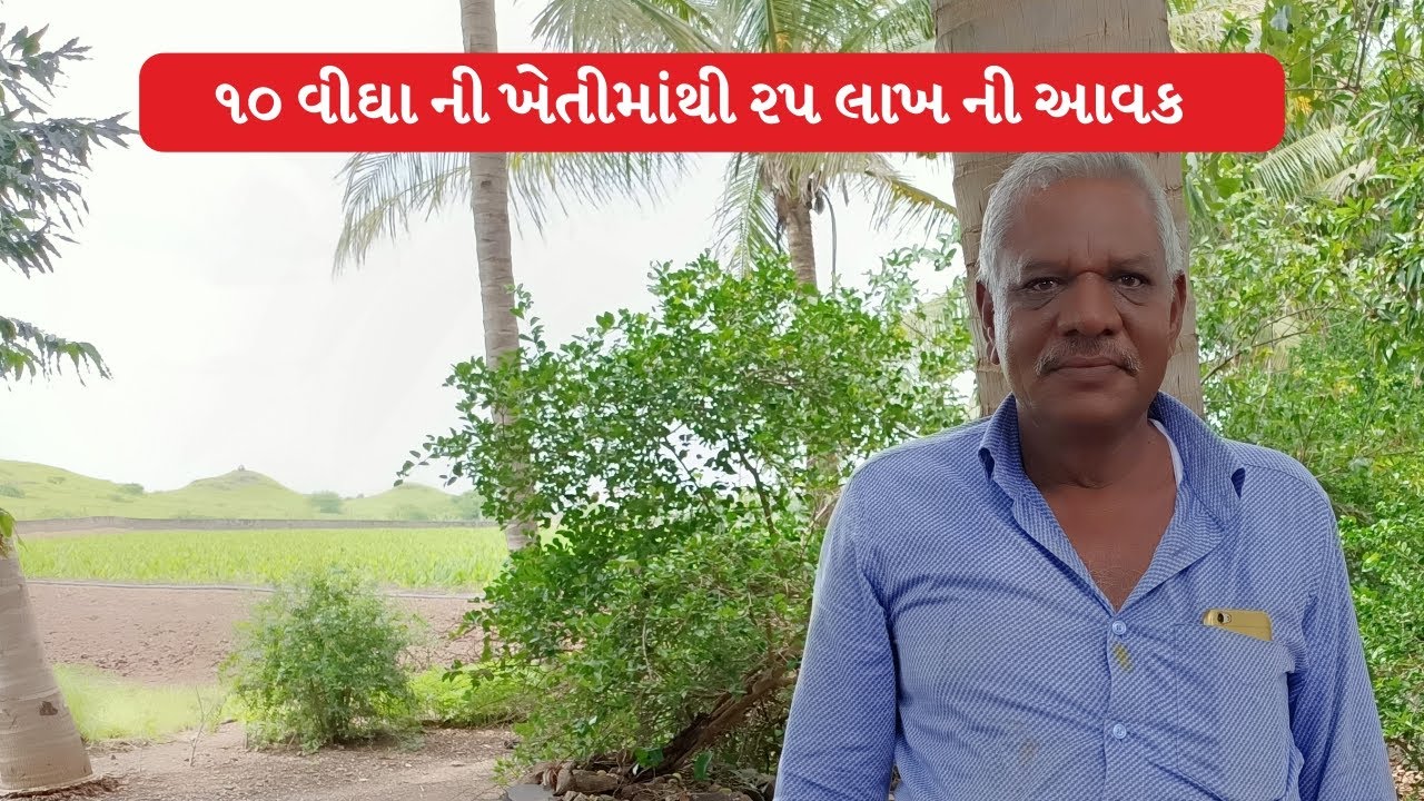 10 વીઘા ની ખેતીમાથી 25 લાખની આવક મેળવતા ખેડૂત ની ફાર્મ મુલાકાત