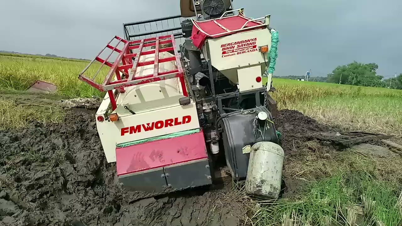 COMBINE KECELEP #combine sawah