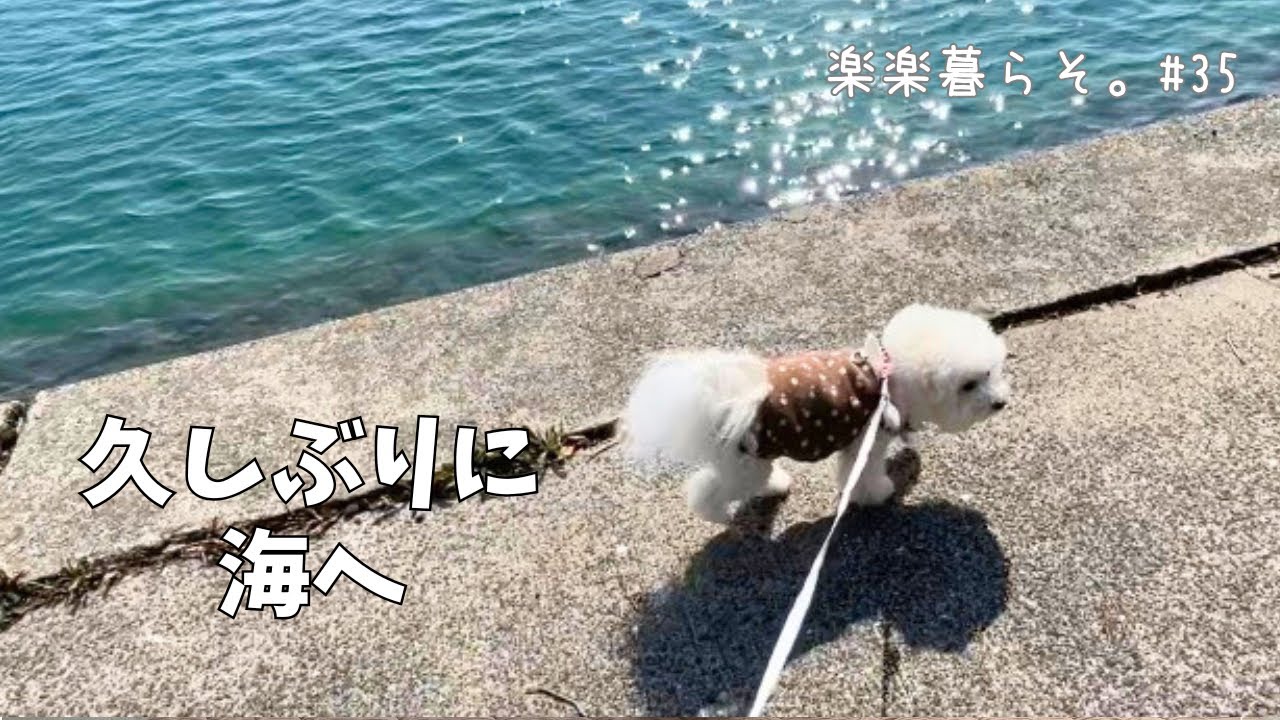 バレンタインのお菓子作りと、少しずつ戻ってきた日常｜楽楽暮らそ。#35