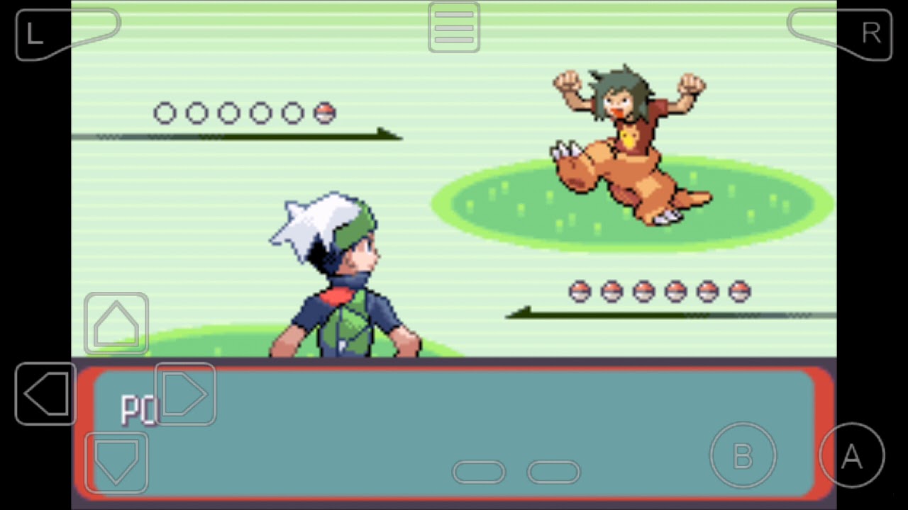 Pokemon Emerald Version route 114