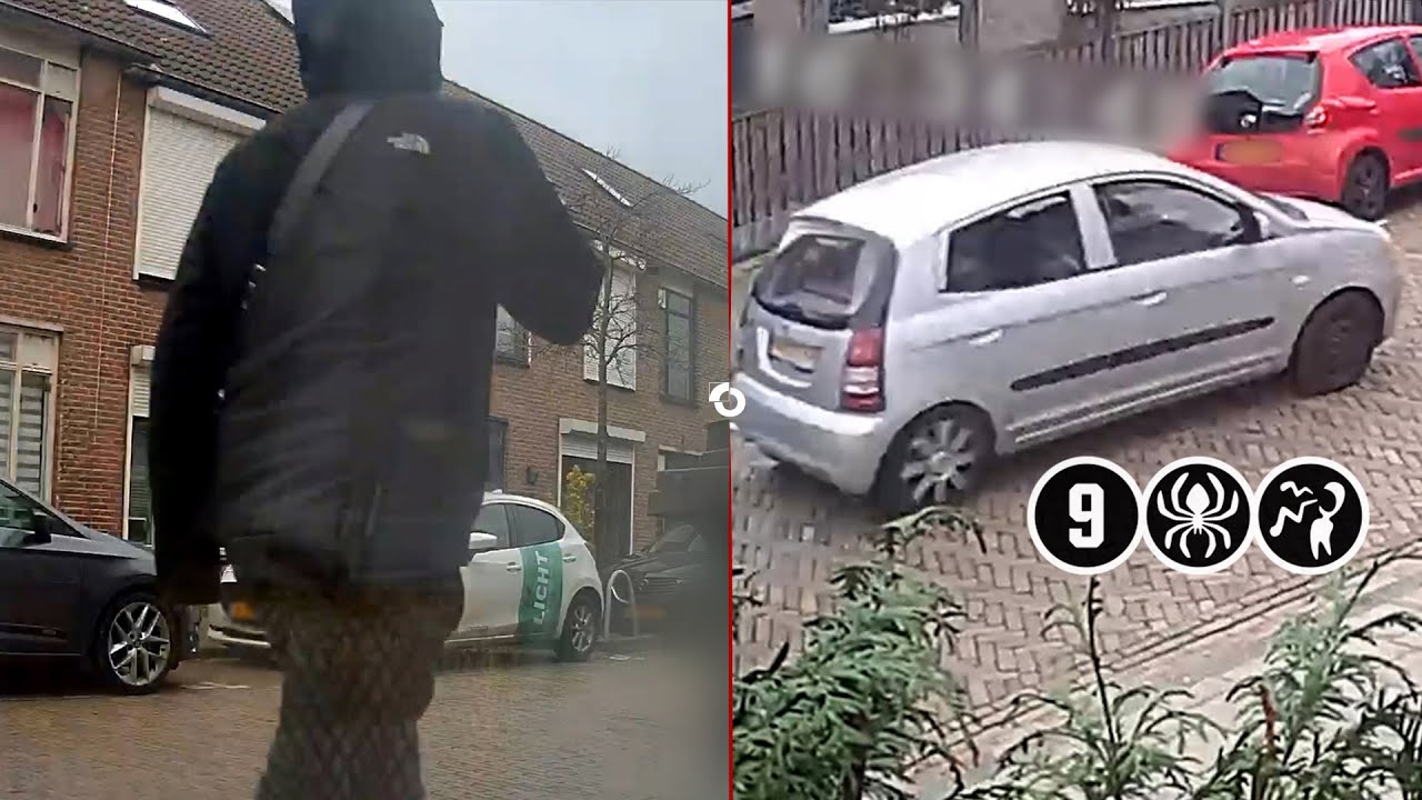 Schoten gelost op straat in woonwijk | Vlissingen