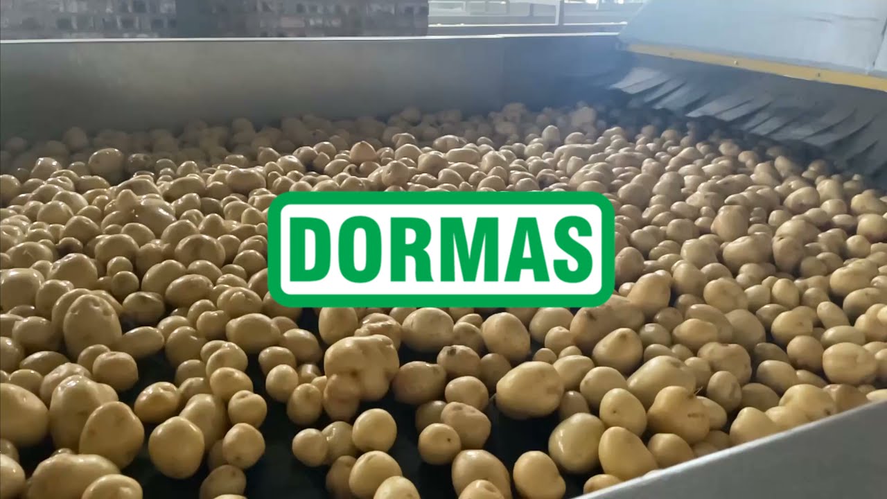 Dormas | Potato washing and grading line - Belle Rive 2 Christiana 2021