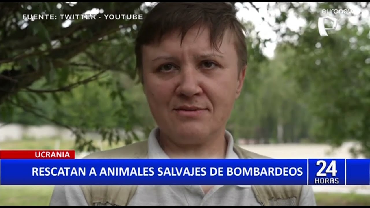 Ucrania: Rescatan animales salvajes que fueron abandonados en zoológicos por ataques rusos