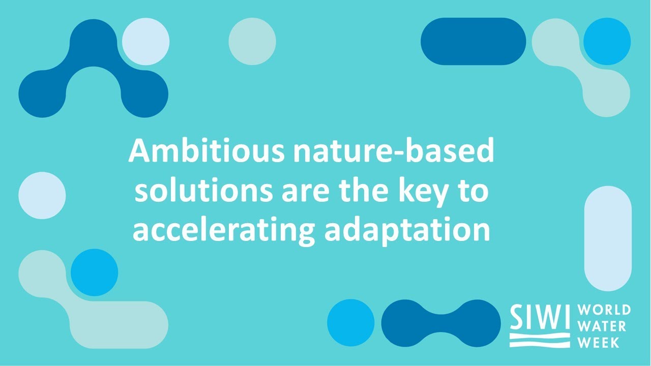 Ambitious nature-based solutions are the key to accelerating adaptation
