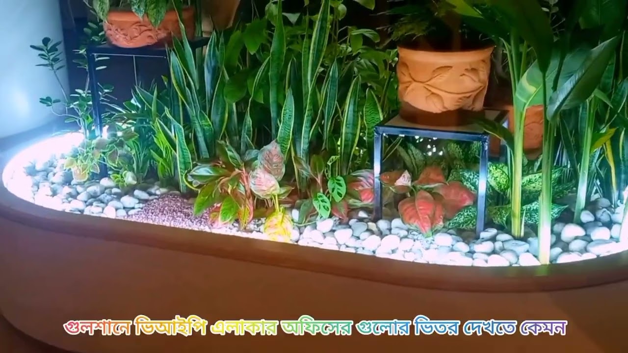 গুলশানের অফিসগুলো দেখতে কেমন #ঢাকা গুলশান অফিস #গুলশান-ঢাকা 