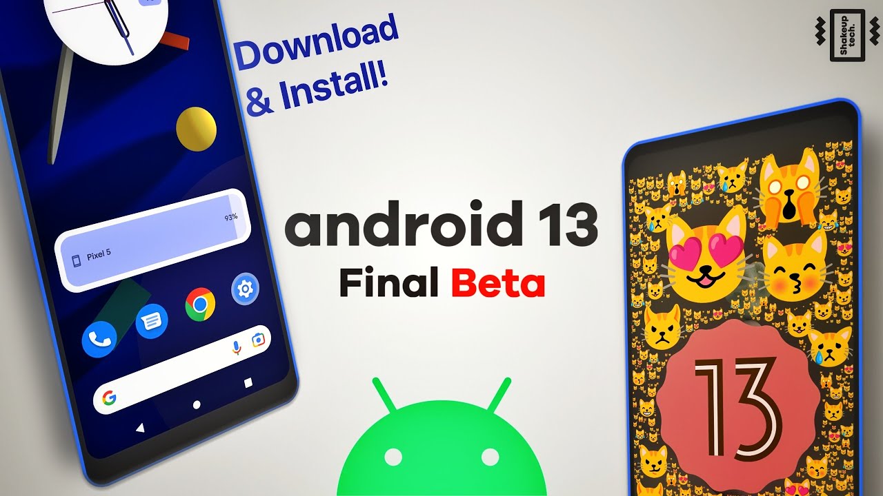 Android 13 FINAL Beta Download and INSTALL on Your Phone with Dual Boot!