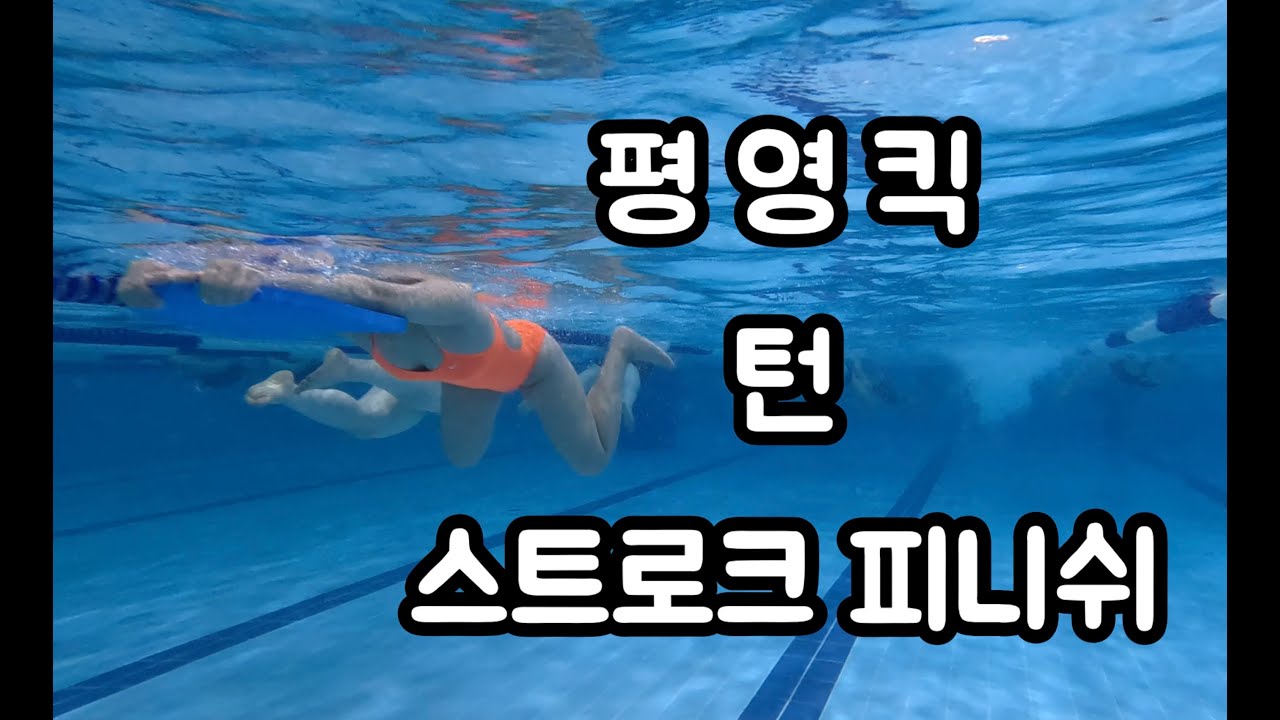 평영킥 / 턴(사이드, 플립턴) / 스트로크(자유형, 접영) / 피드백